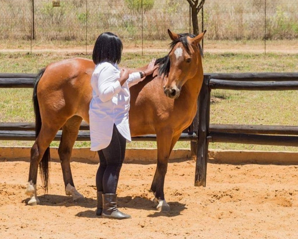 A delegate standing alongside a horse in a sand arena during a Comodex Equine Assisted Learning and Development session